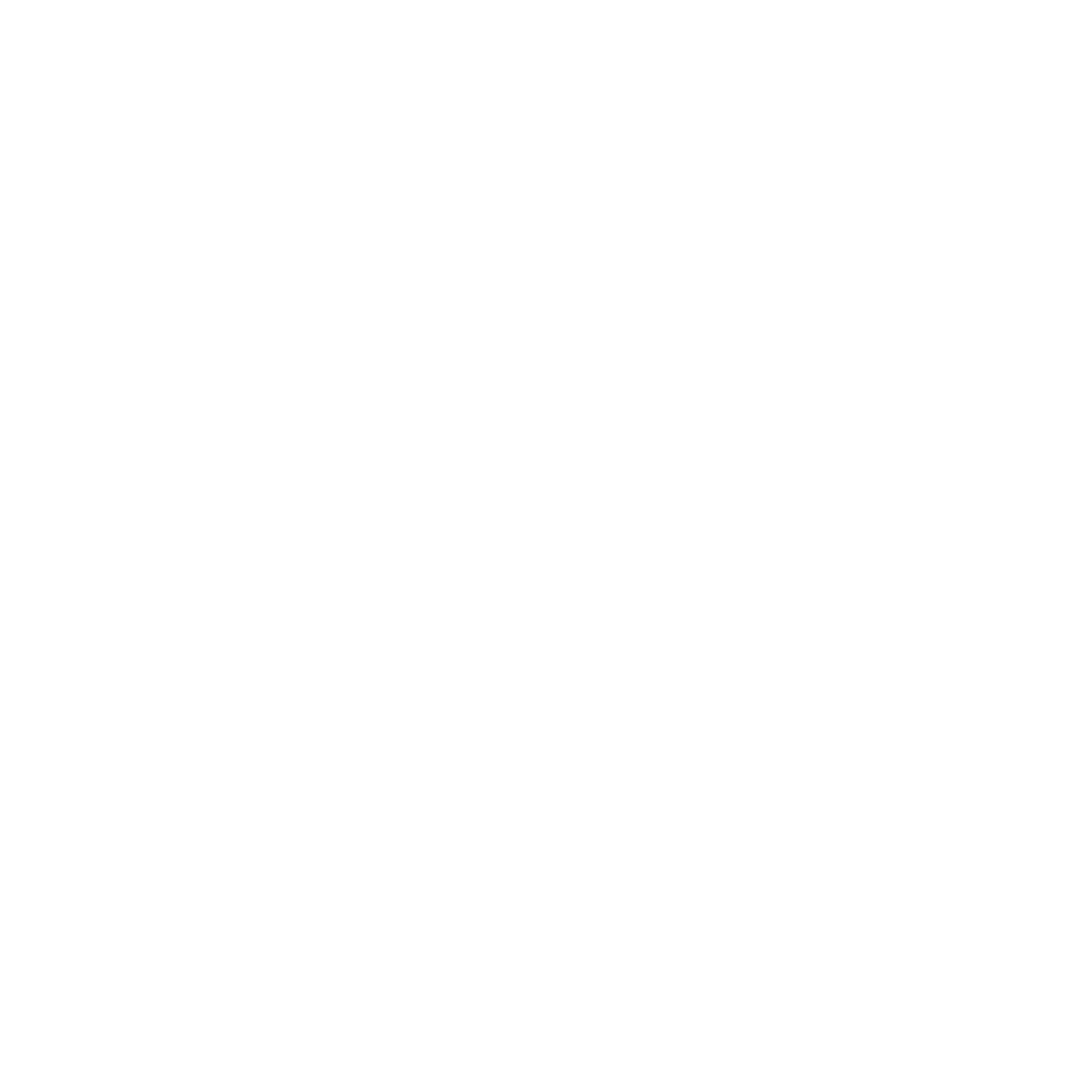 The Wellness Academy